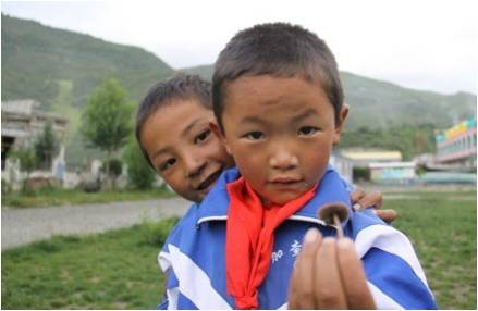 �ɂ�(g��)�W(xu��)���������(f��)����W(xu��)��֧���(du��)�T�����_(d��)�Ѻ����f��һֻСĢ�����挦(du��)�㌍(sh��)�ĺ��ӂ���֧���(du��)�T������ϣ���ǡ��������҂�������҂��������S��(sh��)����