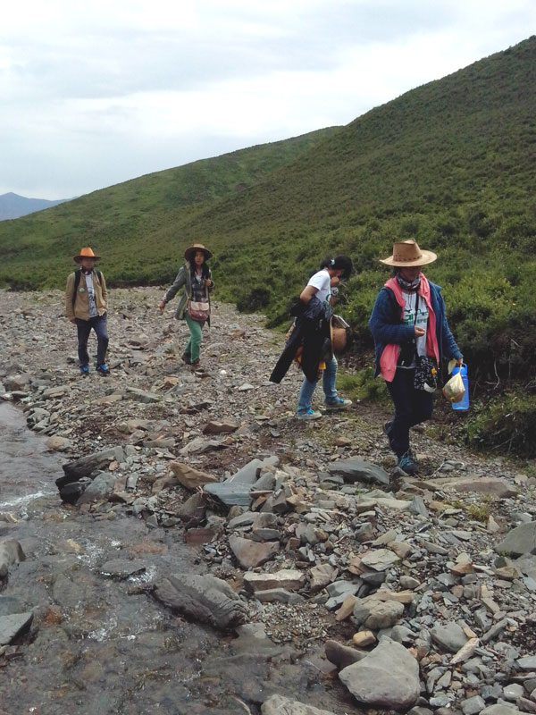 7��22�����m�ݴ�W�Gɫ�I�F꠹������c����?q��)����{(di��o)����꠆T������?sh��)ص��Ρ����f�ֲ����݈���r������ι�B(y��ng)���h(hu��n)��׃���ȷ����M���˴��µ��˽⡣�D��꠆T���ڮ�?sh��)��M��ֲ����R������