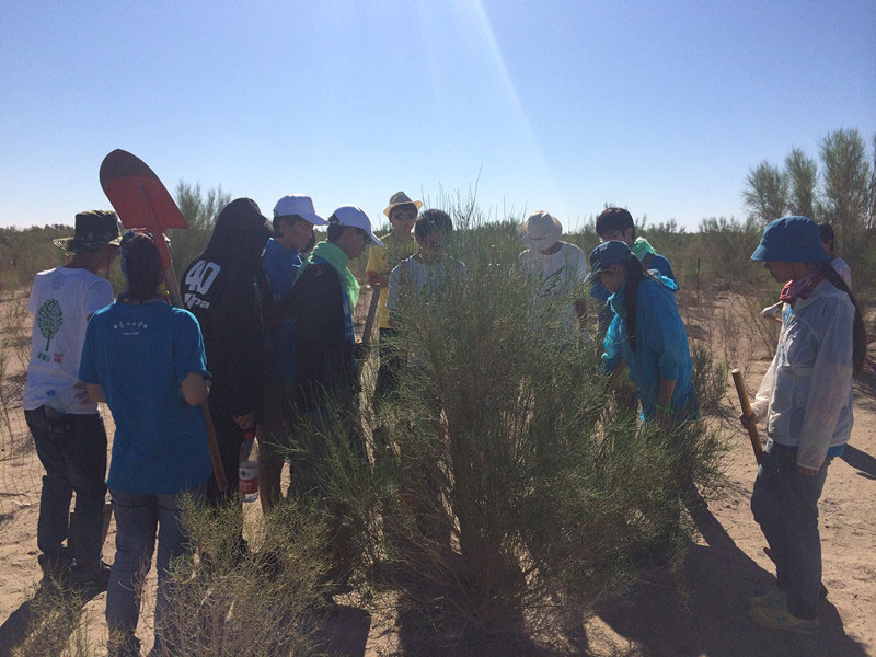 ������Ҫ��һ���ļ��ɺͽ�(j��ng)�(y��n)��ͬ�W(xu��)���_ʼ������һƬ�����ַ��ز����^�m(x��)�����[�ص�����