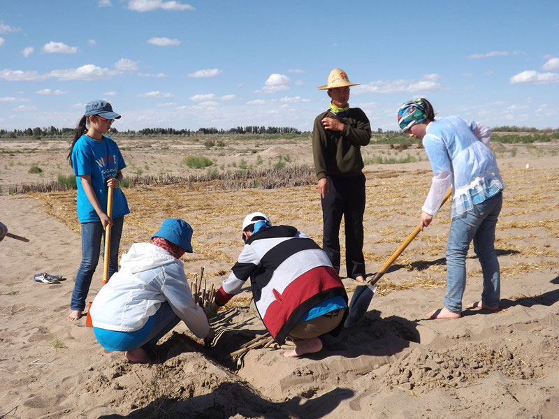 �@�N1.5��Ҋ�������ݸ��ӣ���ɳЧ����á����^4��5���͕�(hu��)�L(f��ng)�g��������Ҫ�����a(b��)����