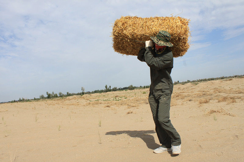 �F(tu��n)�T���i�������ݣ����ϳ����������������؟(z��)����