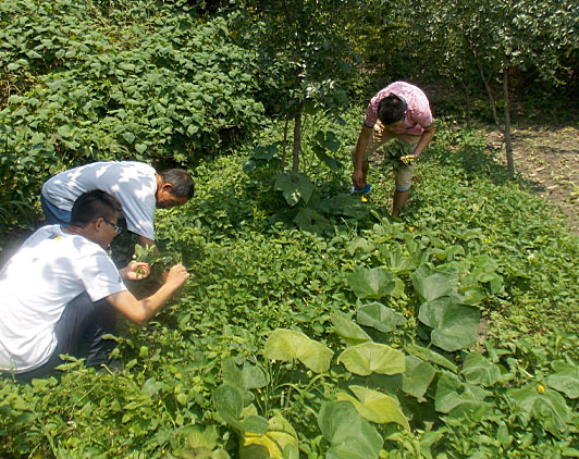 �ڶ�����꠆T���_ʼ�������B(t��i)�r(n��ng)���w��r(n��ng)��������������ժ����