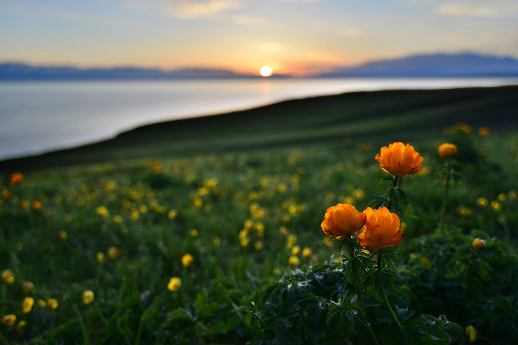 ���(hu��)�����l(xi��ng)�ĸ����