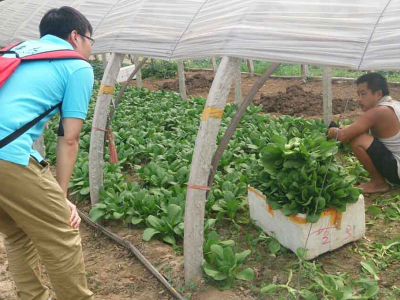 ��(sh��)�`�(du��)�T�c��(d��ng)?sh��)��r(n��ng)��e�O��ͨ������������}���˽��߲˴�������P(gu��n)��r��