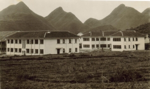 �����o50������F�ݴ�W�̌W��