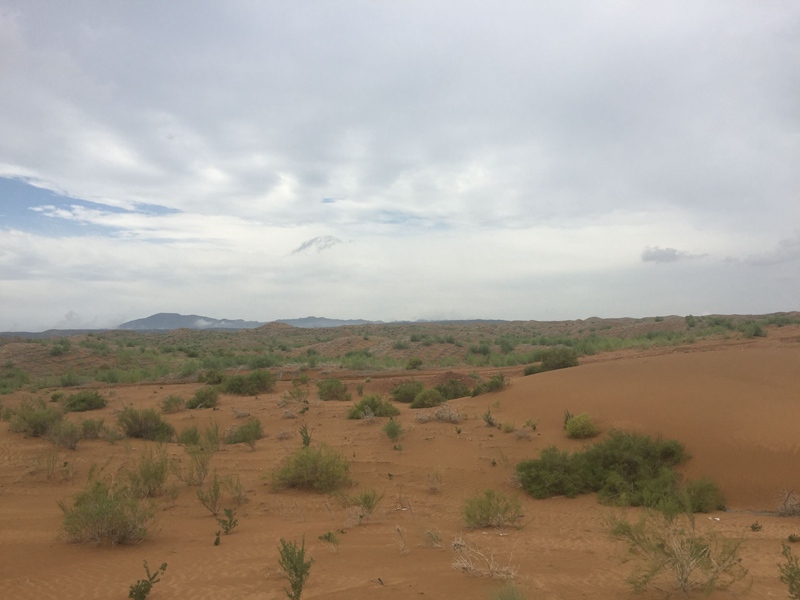 �v����ɳĮ�޾W������ݷ����ﲼ�M�[�d��ɳ��ֲ����