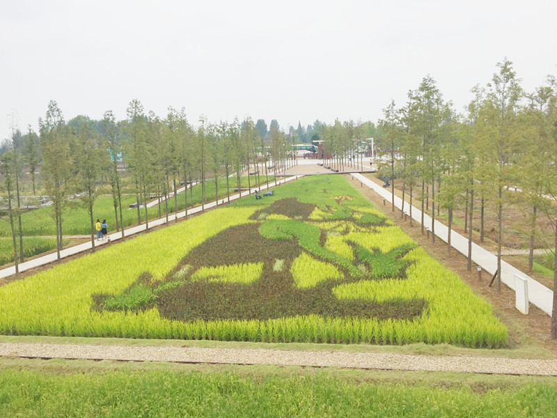 ������L�������������zӰ����־�ۣ�