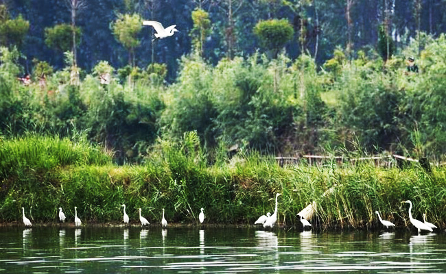 ͯԒ�ϼң���������Ԋ(sh��)�����Ϙ���f����