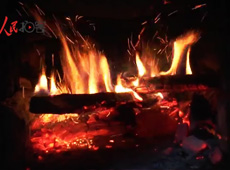 �t��t����~����������ʳ���ρ�