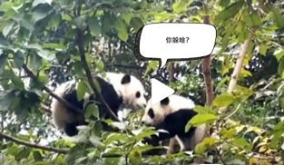 �L�L��̫�ɐ��ˣ�С��ȫ�̡���ĸЦ����