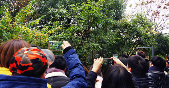 �@�����ӵ������ɶ����W(w��ng)�j(lu��)���ˁ��c(di��n)ٝ