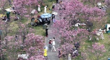 春光明媚賞花時