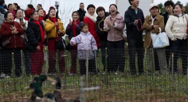 四川榮縣：樂享鄉(xiāng)村田園會